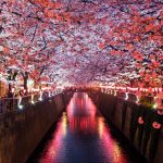 Top 10 Places to Visit in Japan